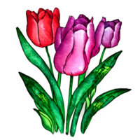 Aquarell Jahrgang Tulpen mit Blumen- Design generiert ai png
