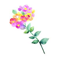 Bouquet Of Flowers Drawing, Watercolor Flowers png