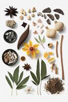 Isolated Chinese Herbs on White Background for Natural Medicine and Wellness AI generated photo