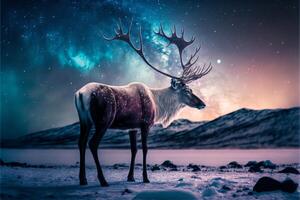 Majestic Moose in a Snowy Landscape at Night with Aurora Borealis photo