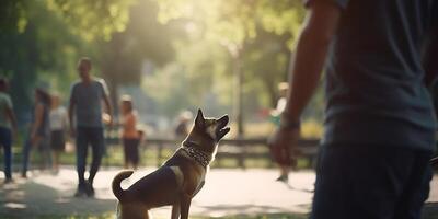 canino Tiempo de juego perro y propietario persiguiendo pelota en el parque ai generado foto