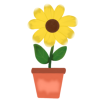 Sun flowers illustration png