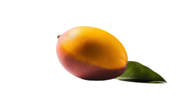 Isolated Marian Plum with Green Leaf on Background, . png