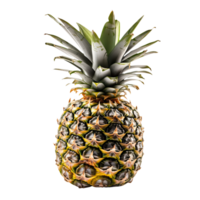 estate frutta di ananas isolato su trasparente sfondo. generativo ai. png