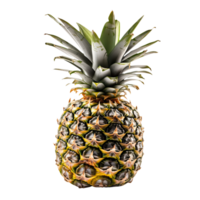 Sommer- Obst von Ananas isoliert auf transparent Hintergrund. generativ ai. png