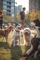 un paquete de juguetón perros en un urbano perro parque ai generado foto