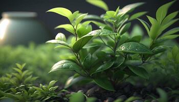 lozano verde té plantaciones en medio de el sereno belleza de naturaleza ai generado foto