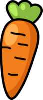 Hand drawn carrot png