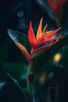 Exotic Plant in the Rainforest Vibrant Orange Red Blossom AI generated photo