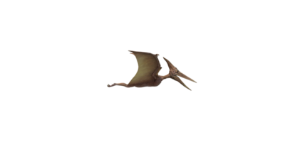 Pterodactyl isolated on a Transparent Background png