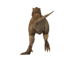 tyrannosaure Rex isolé sur une transparent Contexte png