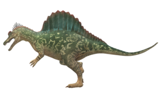 spinosaurus geïsoleerd Aan een transparant achtergrond png