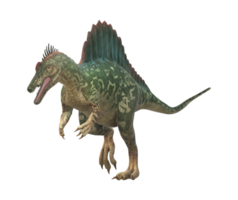 spinosaurus geïsoleerd Aan een transparant achtergrond png