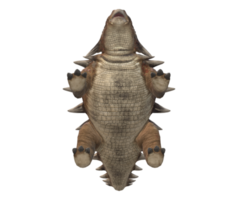 Ankylosaurs isolated on a Transparent Background png