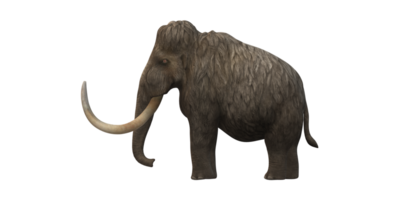 lanoso mamut aislado en un transparente antecedentes png