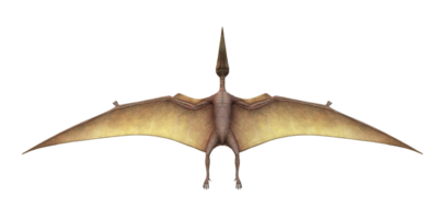 pterodátilo isolado em uma transparente fundo png