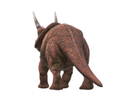 triceratops isolerat på en transparent bakgrund png