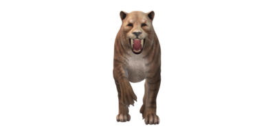 Sabre Toothed Cat isolated on a Transparent Background png