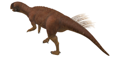 psittacosaurus isolerat på en transparent bakgrund png