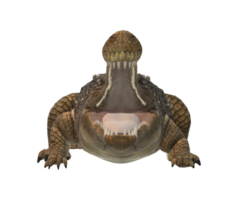 sarcosuchus crocodile isolé sur une transparent Contexte png