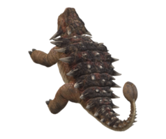 Ankylosaurs isolated on a Transparent Background png