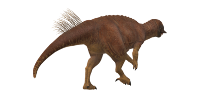 Psittacosaurus isolated on a Transparent Background png