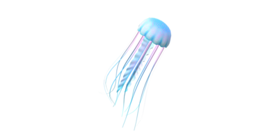 Jelly Fish isolated on a Transparent Background png