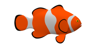 payaso pescado aislado en un transparente antecedentes png