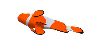 Clown Fish isolated on a Transparent Background png