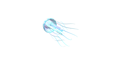 Jelly Fish isolated on a Transparent Background png