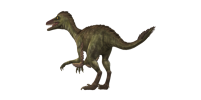 troodon dinosauro isolato su un' trasparente sfondo png