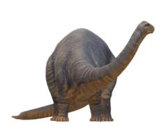 apatosaurus geïsoleerd Aan een transparant achtergrond png