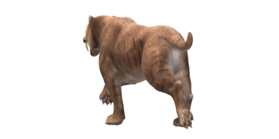 Sabre Toothed Cat isolated on a Transparent Background png