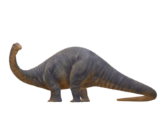 apatosaurus aislado en un transparente antecedentes png