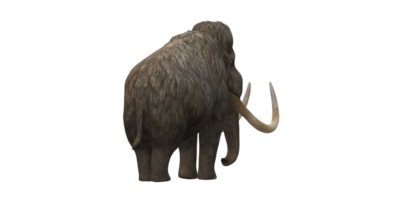 ullig mammut isolerat på en transparent bakgrund png