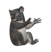 Koala Bear isolated on a Transparent Background png