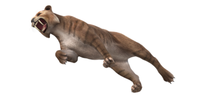 Säbel gezahnt Katze isoliert auf ein transparent Hintergrund png