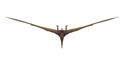 Pterodaktylus isoliert auf ein transparent Hintergrund png