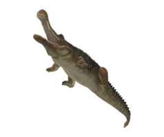 sarcosuchus cocodrilo aislado en un transparente antecedentes png