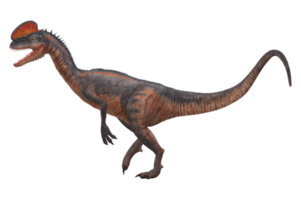 Velociraptor Dinosaur isolated on a Transparent Background png