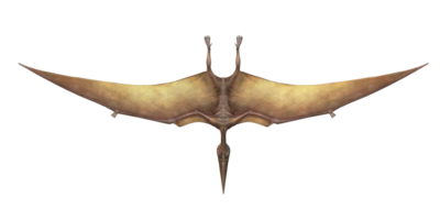 pterodáctilo aislado en un transparente antecedentes png