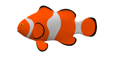 Clown Fisch isoliert auf ein transparent Hintergrund png