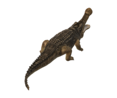 Sarcosuchus Crocodile isolated on a Transparent Background png