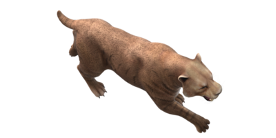 Sabre Toothed Cat isolated on a Transparent Background png