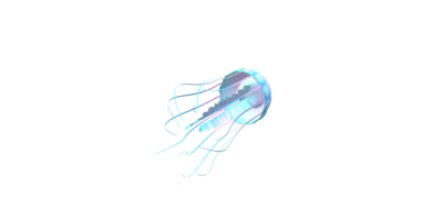 Jelly Fish isolated on a Transparent Background png