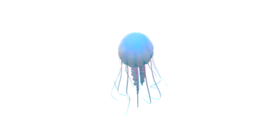 Jelly Fish isolated on a Transparent Background png