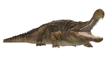 sarcosuchus coccodrillo isolato su un' trasparente sfondo png