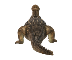 Sarcosuchus Crocodile isolated on a Transparent Background png