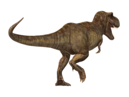 Tyrannosaurus Rex isolated on a Transparent Background png