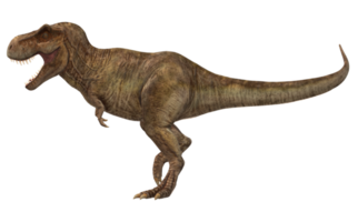 tiranosaurio rex aislado en un transparente antecedentes png